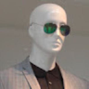 Meet your Posher, Ray